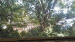 CSX 1877